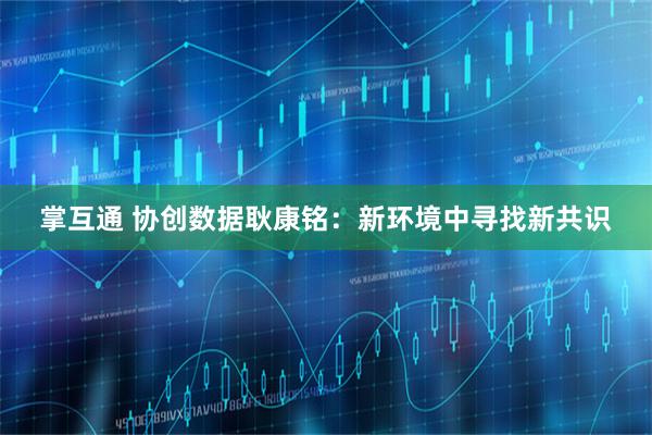 掌互通 协创数据耿康铭：新环境中寻找新共识