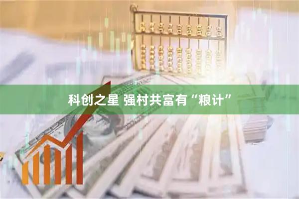 科创之星 强村共富有“粮计”