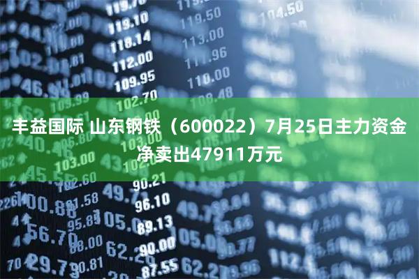 丰益国际 山东钢铁（600022）7月25日主力资金净卖出47911万元