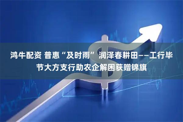 鸿牛配资 普惠“及时雨” 润泽春耕田——工行毕节大方支行助农企解困获赠锦旗