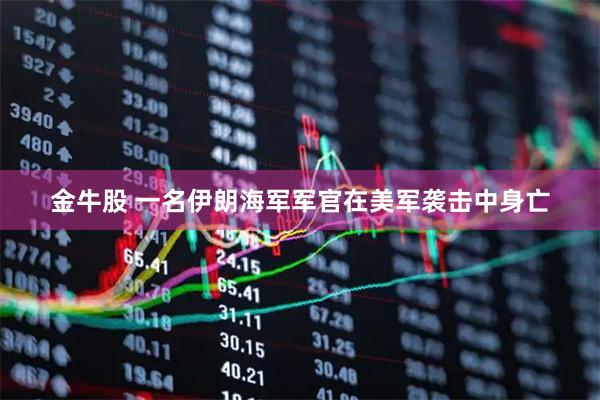 金牛股 一名伊朗海军军官在美军袭击中身亡